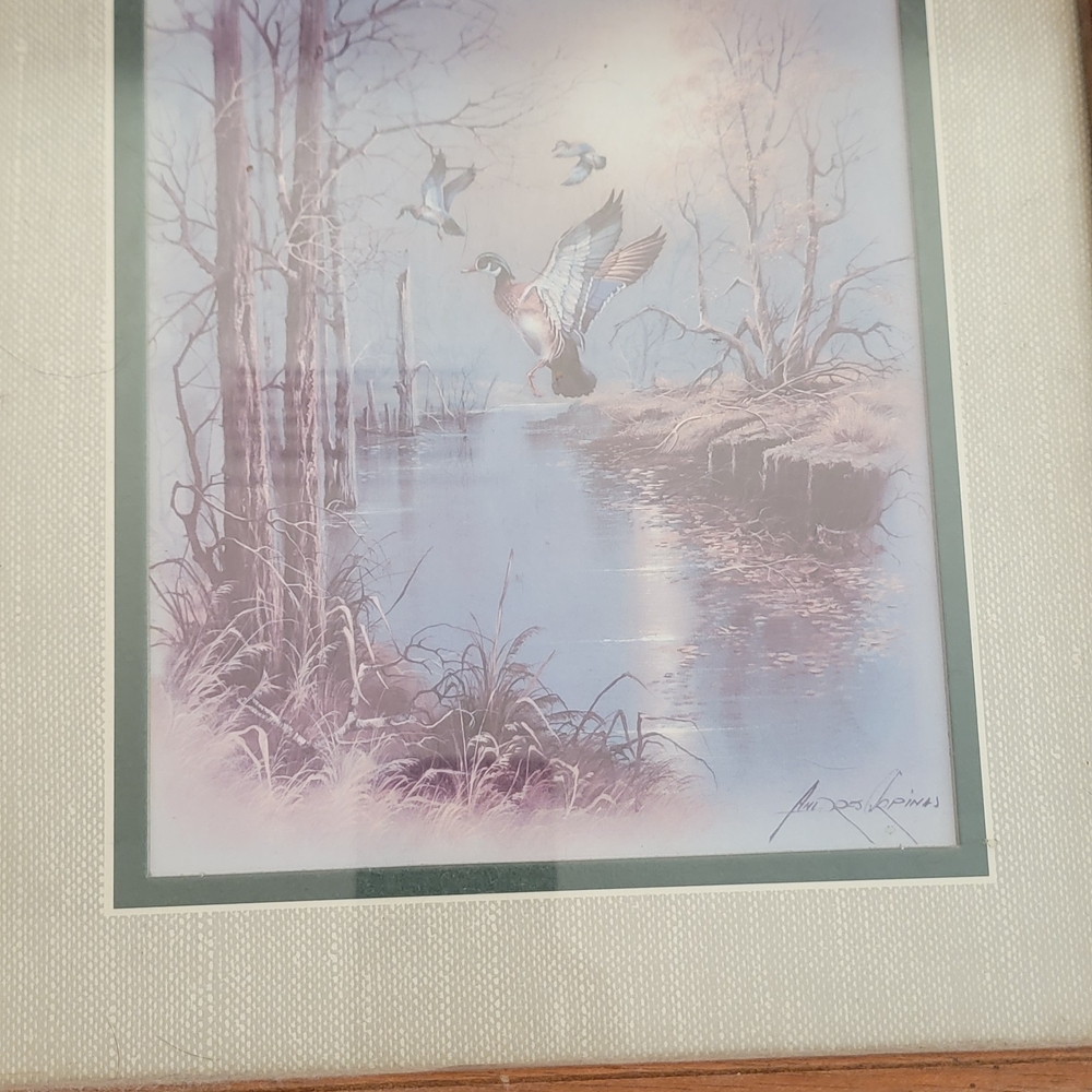 Framed Nature Artwork By Andres Orpinas